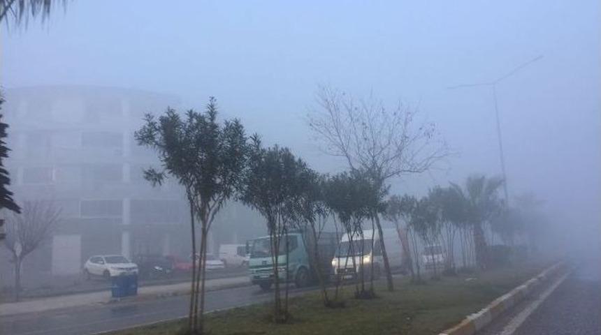 Milas&rsquo;ta Yoğun Sis Etkili Oluyor