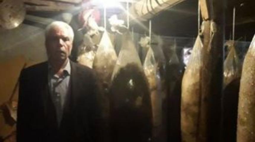 Saman İ&ccedil;erisinde İstiridye Mantarı &Uuml;retiyor