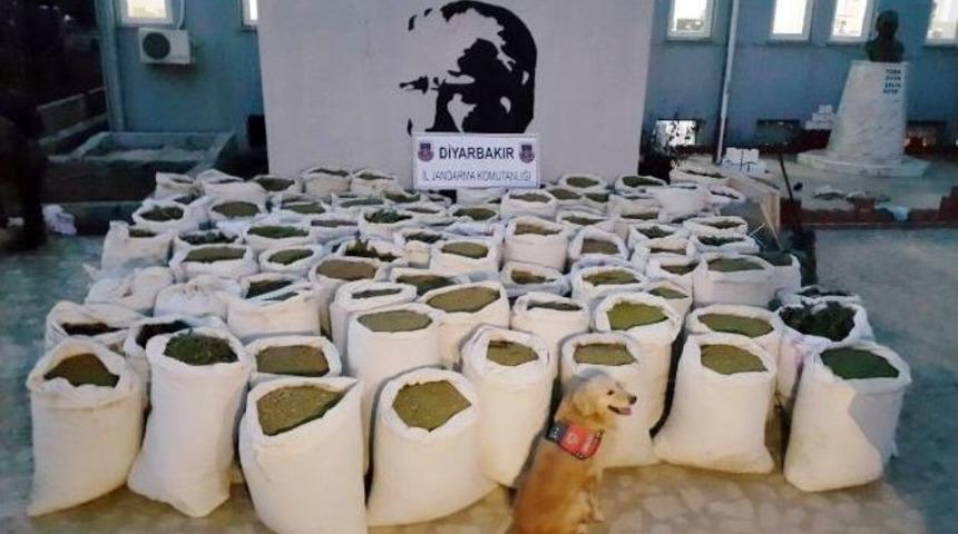 Diyarbakır’da 3 Ton Uyuşturucu Madde Ele Geçirildi