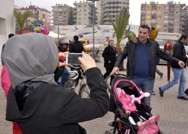 3 Papağanıyla Dolaşıp, Hayvan Sevgisini Anlatıyor