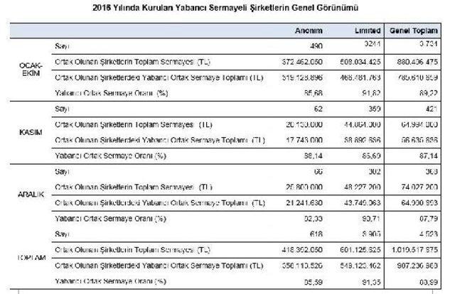 2016’Da Kurulan Yabancı Sermayeli Şirketlerin Yüzde 40’I Suriyeli 1