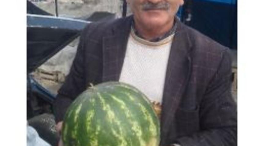 Kış Ortasında Karpuz Satıyor