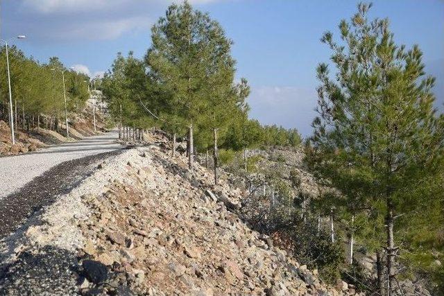 Mesire Yeri Çalışmalarında Sona Yaklaşıldı.