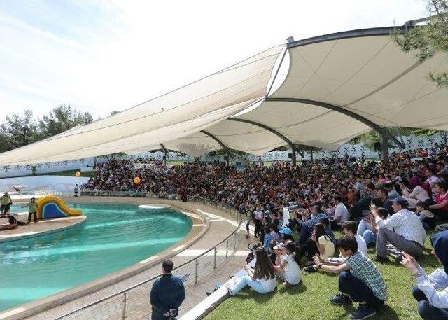 Gaziantep Belediye Müzeleri Ve Hayvanat Bahçesi Yarıyıl Tatilinde Tüm Öğrencilere Ücretsiz 3