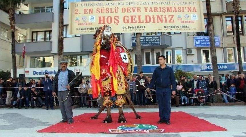 Antalya&rsquo;da En S&uuml;sl&uuml; Deve &Ouml;d&uuml;l&uuml; &rsquo;kanka&rsquo;ya Gitti