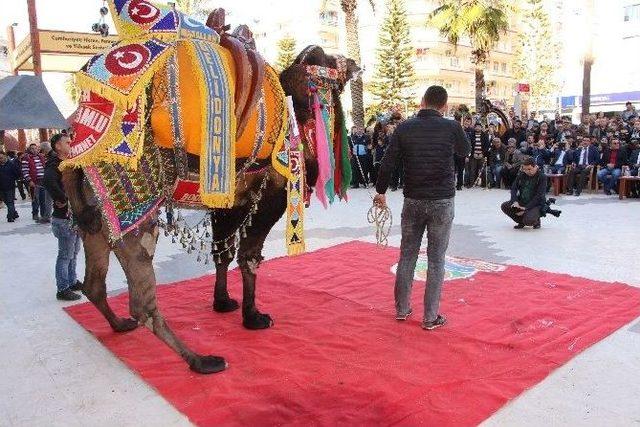 Antalya’da En Süslü Deve Ödülü ’kanka’ya Gitti