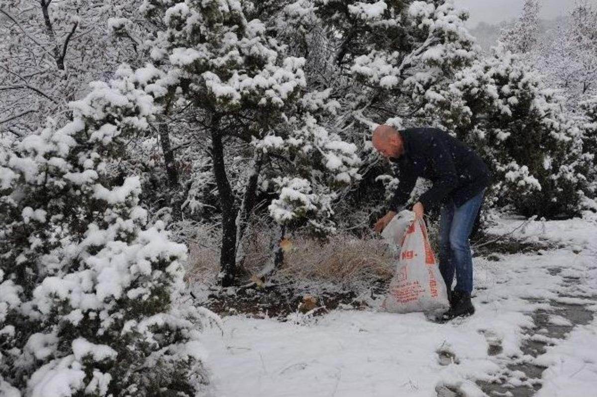 Sokak Hayvanları Ve Yaban Hayvanları Boz&uuml;y&uuml;k Belediyesi&rsquo;nin Koruması Altında