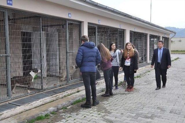 Can Dostlara Mama Desteği 1