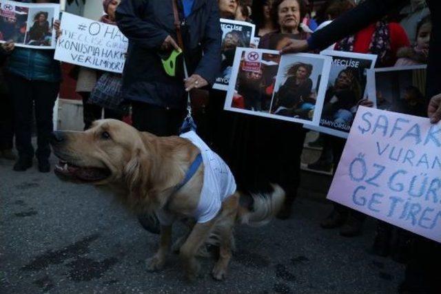 Chp’Li Kadınlardan Meclis’Teki Kavgalara Ilginç Protesto