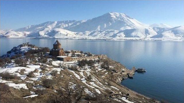 Akdamar Adası’ndaki Tavşanlar Yeniden Toplanacak