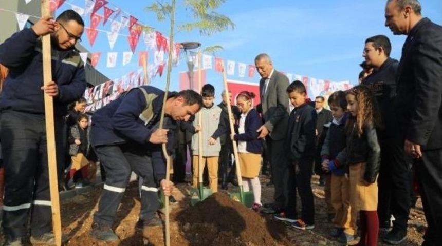 Mezitli&rsquo;de 27. Jakaranda Koruluğu Oluşturuldu