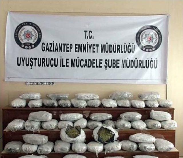 Cinayet Ş&uuml;phelisi, 61 Kilo Esrarla Yakalandı 2