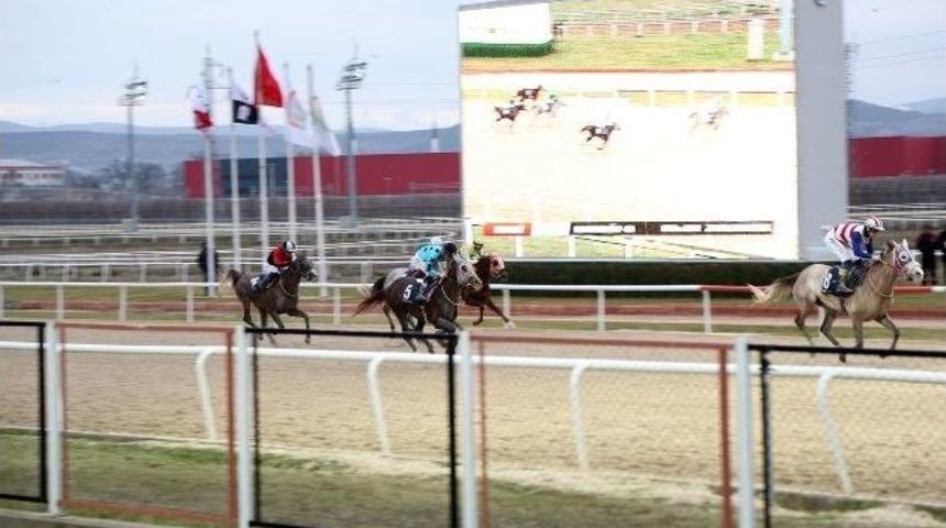 Sapanca Belediye Başkanlığı Koşusu Ger&ccedil;ekleşti