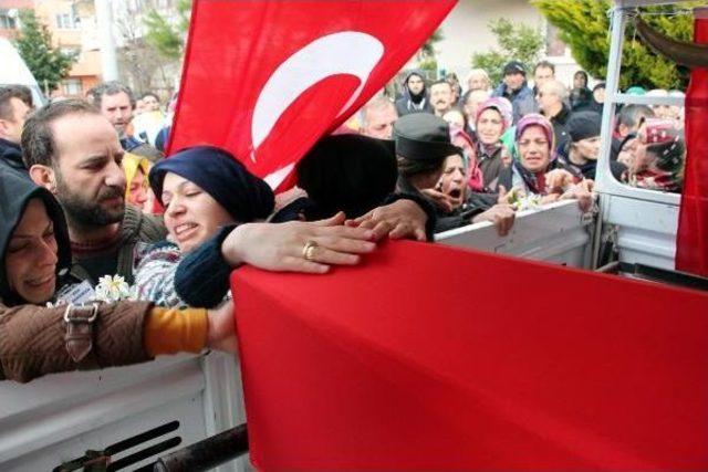 Şehidin Annesi; 'annen Kurban Olsun Sana' Diyerek Sinir Krizi Geçirdi