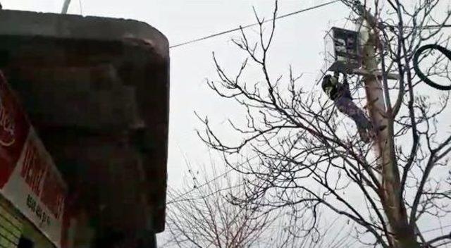Dedaş, Ka&ccedil;ak Kullanımı &Ouml;nlemek I&ccedil;in Saya&ccedil;ları 8 Metrelik Direklere &Ccedil;ıkardı 3