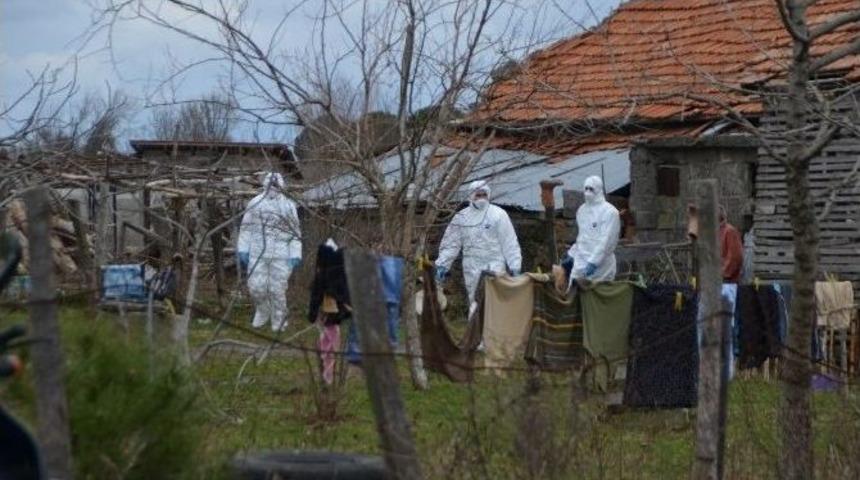 Bafra&rsquo;da K&uuml;mes Hayvanı İtlafları Devam Ediyor