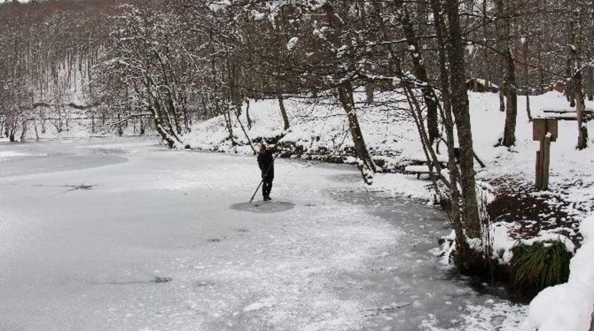 Kirliliğe Dikkat &Ccedil;ekmek İ&ccedil;in Dalış Yaptı Onlarca Cep Telefonu Buldu