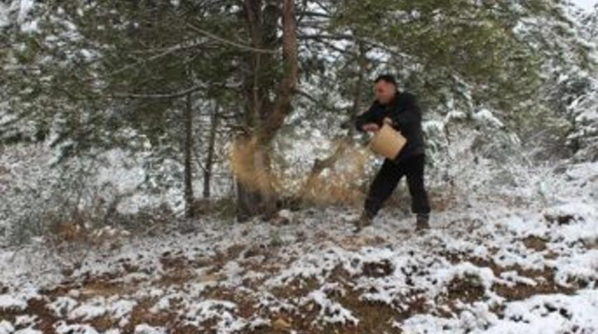 Doğaya Yem Bırakıldı