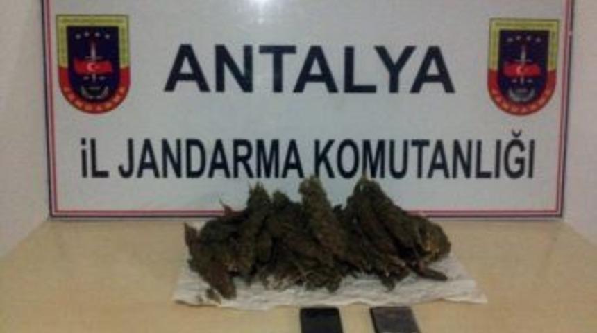 Manavgat&rsquo;ta Esrar Ele Ge&ccedil;irildi