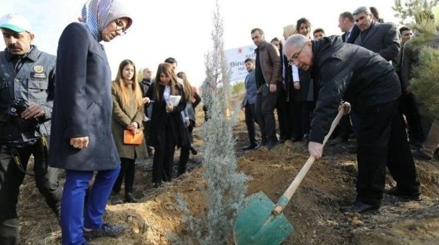 Mardin&rsquo;de &rsquo;bereket Ormanlarına&rsquo; Fidan Dikildi