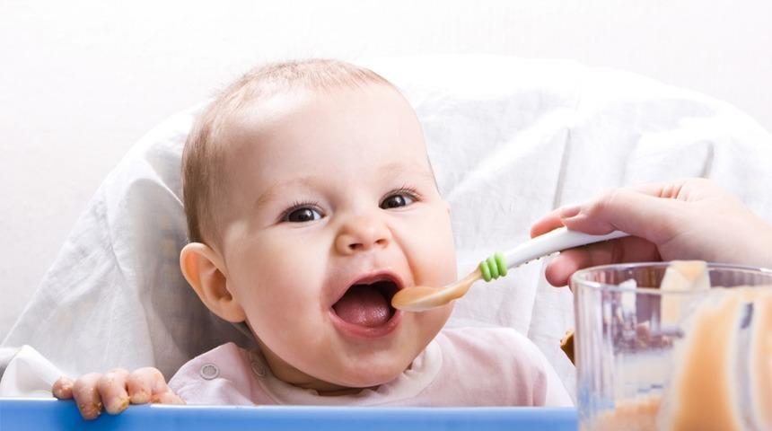 Aydan Aya Bebek Beslenme Rehberi