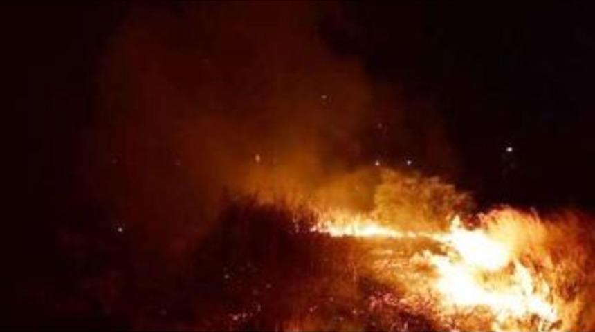 Ormanlık Alanda &Ccedil;ıkan Ot Yangını B&uuml;y&uuml;meden S&ouml;nd&uuml;r&uuml;ld&uuml;