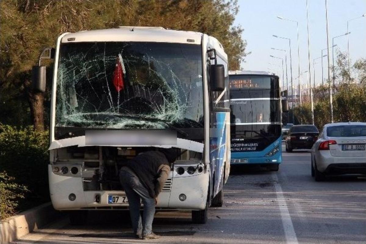 Midib&uuml;s&uuml;n &Ccedil;arptığı Otob&uuml;steki Panik Kameralara Yansıdı