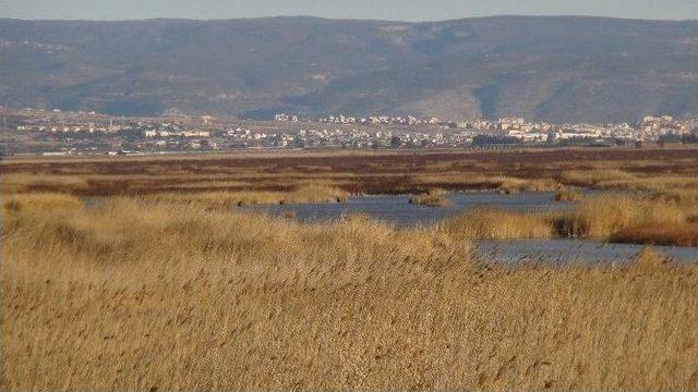 Göksu Deltası’ndaki Yangın Kendiliğinden Söndü