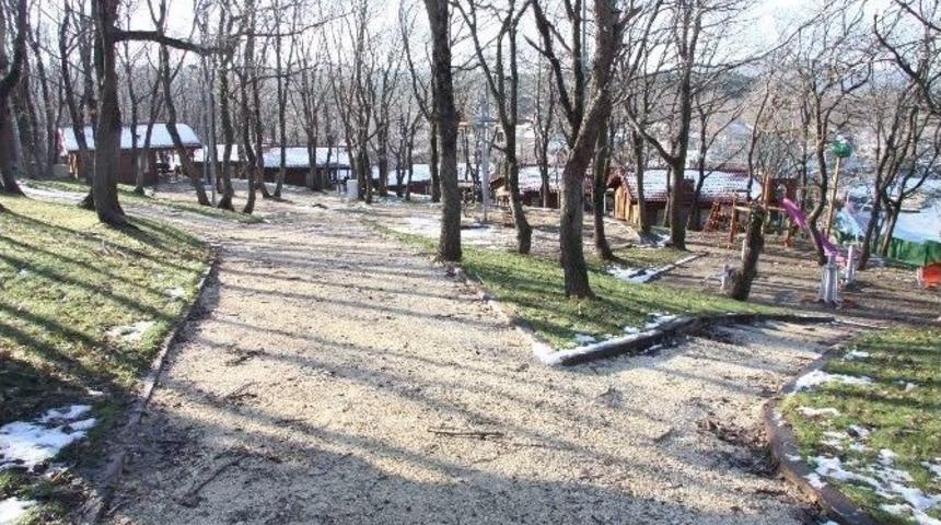 Kerpe Mesire Alanı Yaza Hazırlanıyor