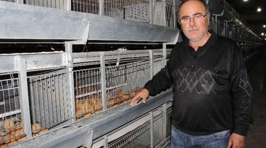 &Uuml;reticide Viyol&uuml; 6 Lira Olan Yumurta Marketlerde 12 İla 20 Lira Arasında Satılıyor