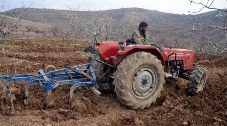 'yalancı Bahar' Fıstık &Uuml;reticilerini Kaygılandırdı