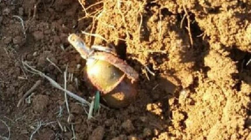 Mardin'de &Ccedil;atışma: 3 Pkk'lı Ter&ouml;rist &Ouml;ld&uuml;r&uuml;ld&uuml; (2)