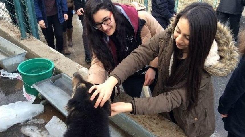 Liseli &Ouml;ğrencilerden Hayvanseverlik &Ouml;rneği