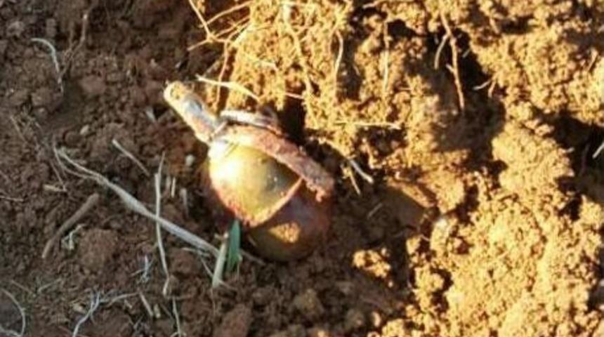 Kızıltepe&rsquo;de Eylem Hazırlığındaki 2 Ter&ouml;rist &Ouml;ld&uuml;r&uuml;ld&uuml;