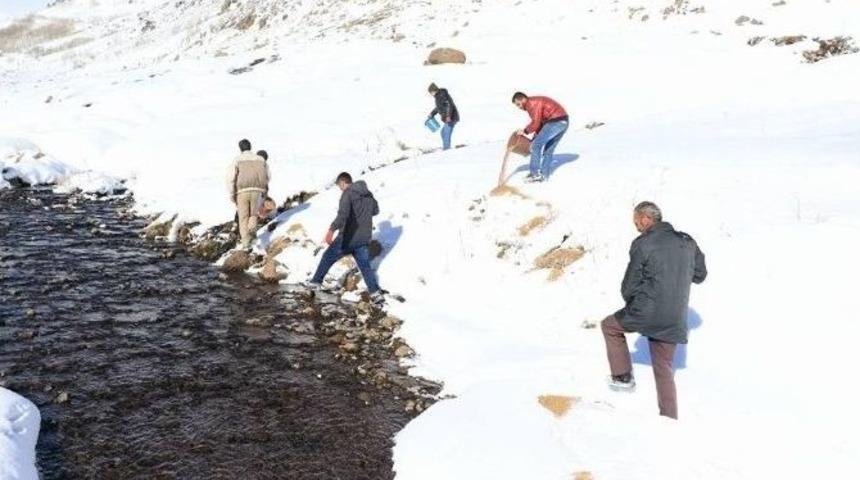 Hayvanlar İ&ccedil;in Yem Bırakıldı