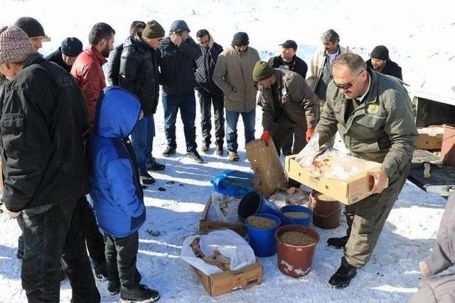 Hayvanlar İçin Yem Bırakıldı