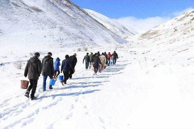 Hayvanlar İçin Yem Bırakıldı