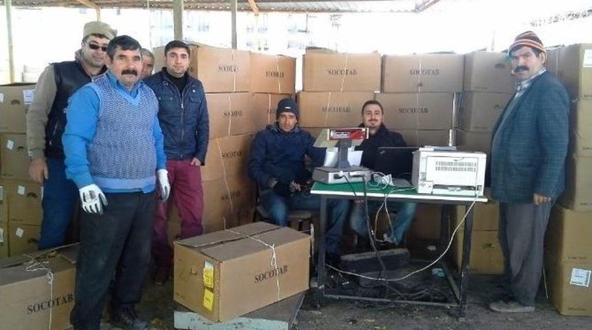 Selendi&rsquo;de T&uuml;t&uuml;n Alımları Başladı