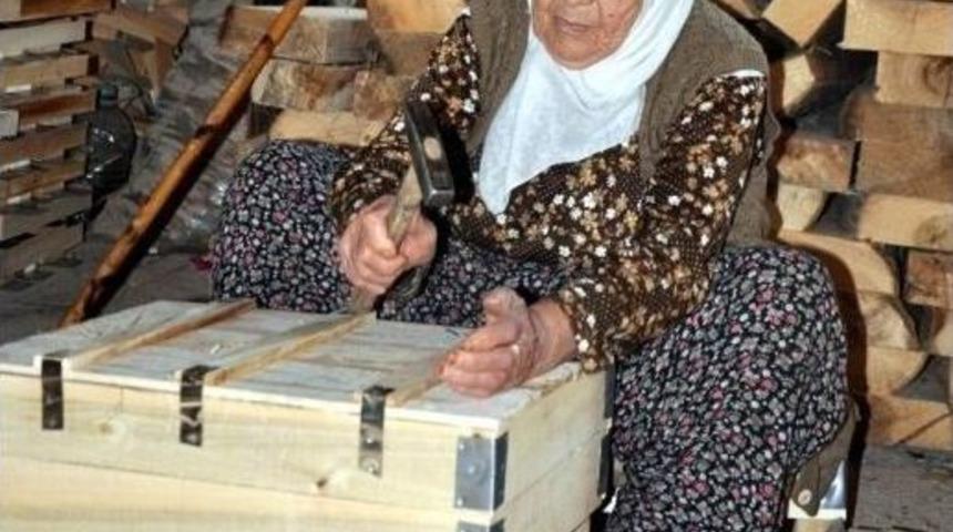 105 Torun Sahibi Sandık&ccedil;ı Nine Hayatını Kaybetti