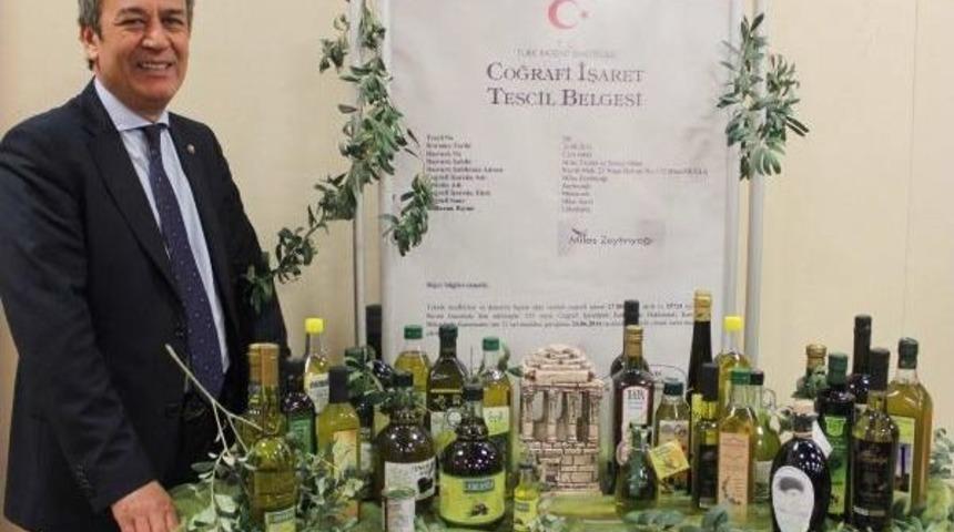 Palm Yağı Yerine Zeytinyağı &Ouml;nerisi