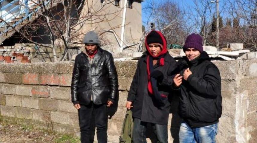 Ayvacık'ta 33 Ka&ccedil;ak Yakalandı