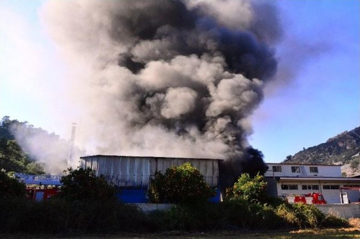 S&uuml;t &Uuml;r&uuml;nleri Fabrikasında Korkutan Yangın