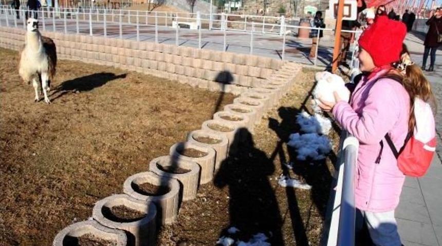 &Ouml;ğrenciler Tatilde Hayvanat Bah&ccedil;esi Ve Bilim Merkezinde