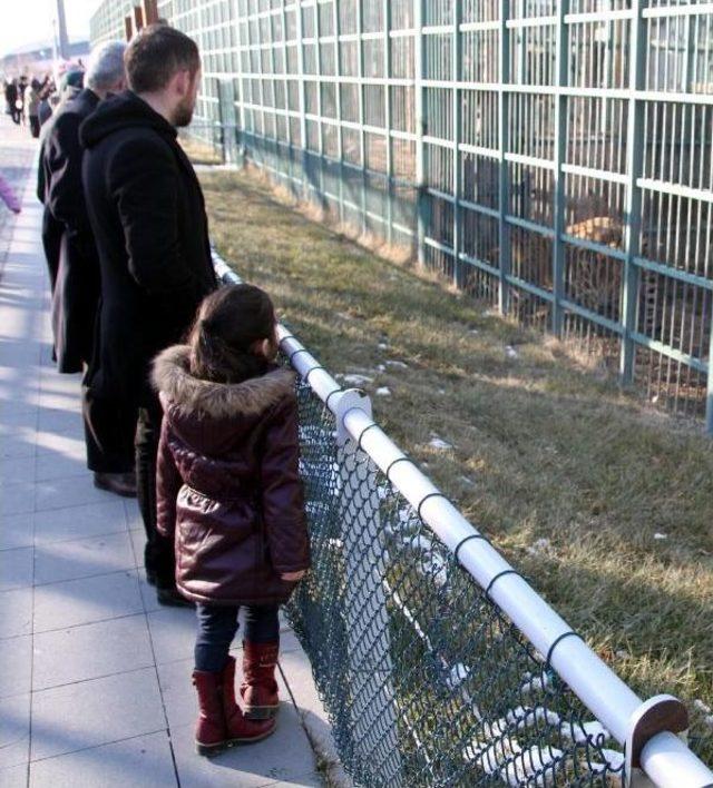 Öğrenciler Tatilde Hayvanat Bahçesi Ve Bilim Merkezinde