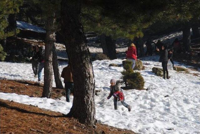 Günübirlikçiler Paşa Yaylası’na Akın Etti