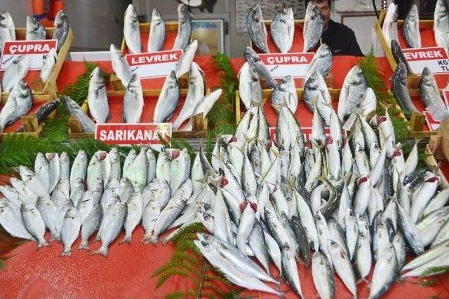 Balık Fiyatlarının Yükselmesi Satışları Etkiledi