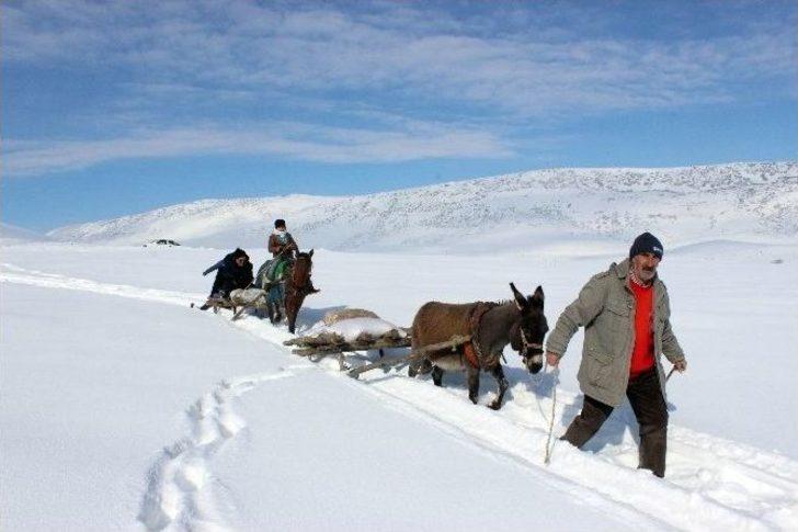 Ulaşımlarını Kızakla Sağlıyorlar G2