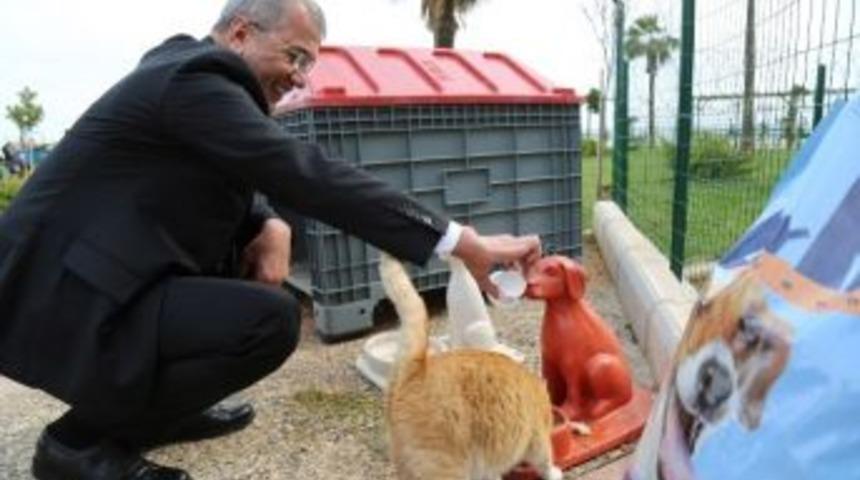 Mezitli Belediyesi, Hayvan Bakımevi Yapıyor