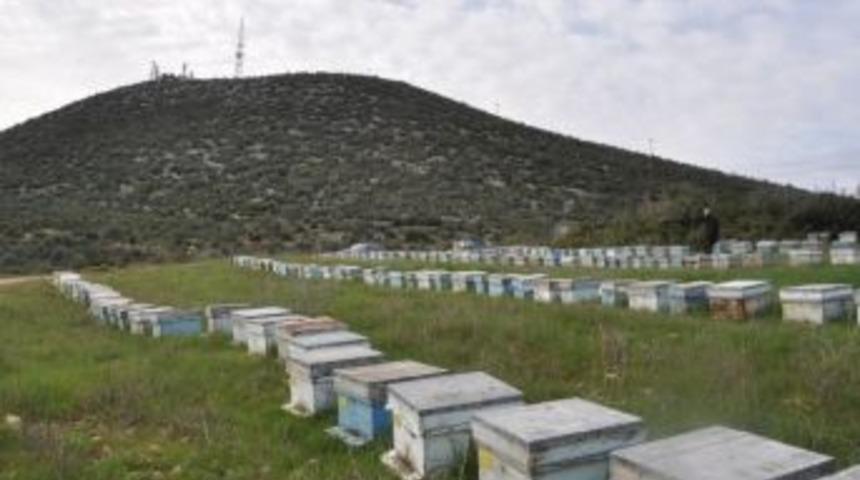 Mersin&rsquo;in Orman K&ouml;yl&uuml;lerine Bakanlıktan 3,99 Milyon Tl Kredi Desteği