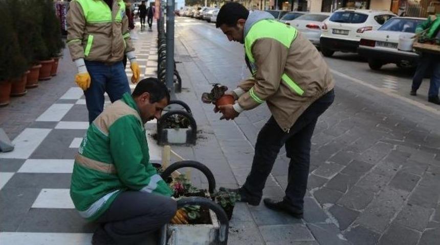 Bah&ccedil;elievler &Ccedil;i&ccedil;eklerle Donatıldı